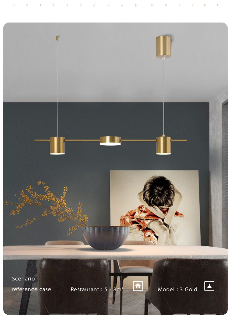 Modern LED Ceiling Chandelier