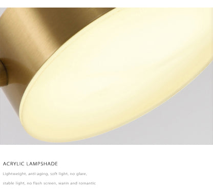 Modern LED Ceiling Chandelier